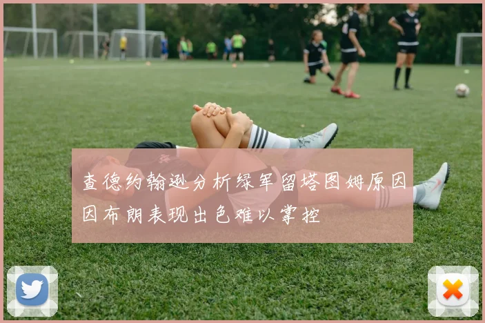 查德约翰逊分析绿军留塔图姆原因因布朗表现出色难以掌控